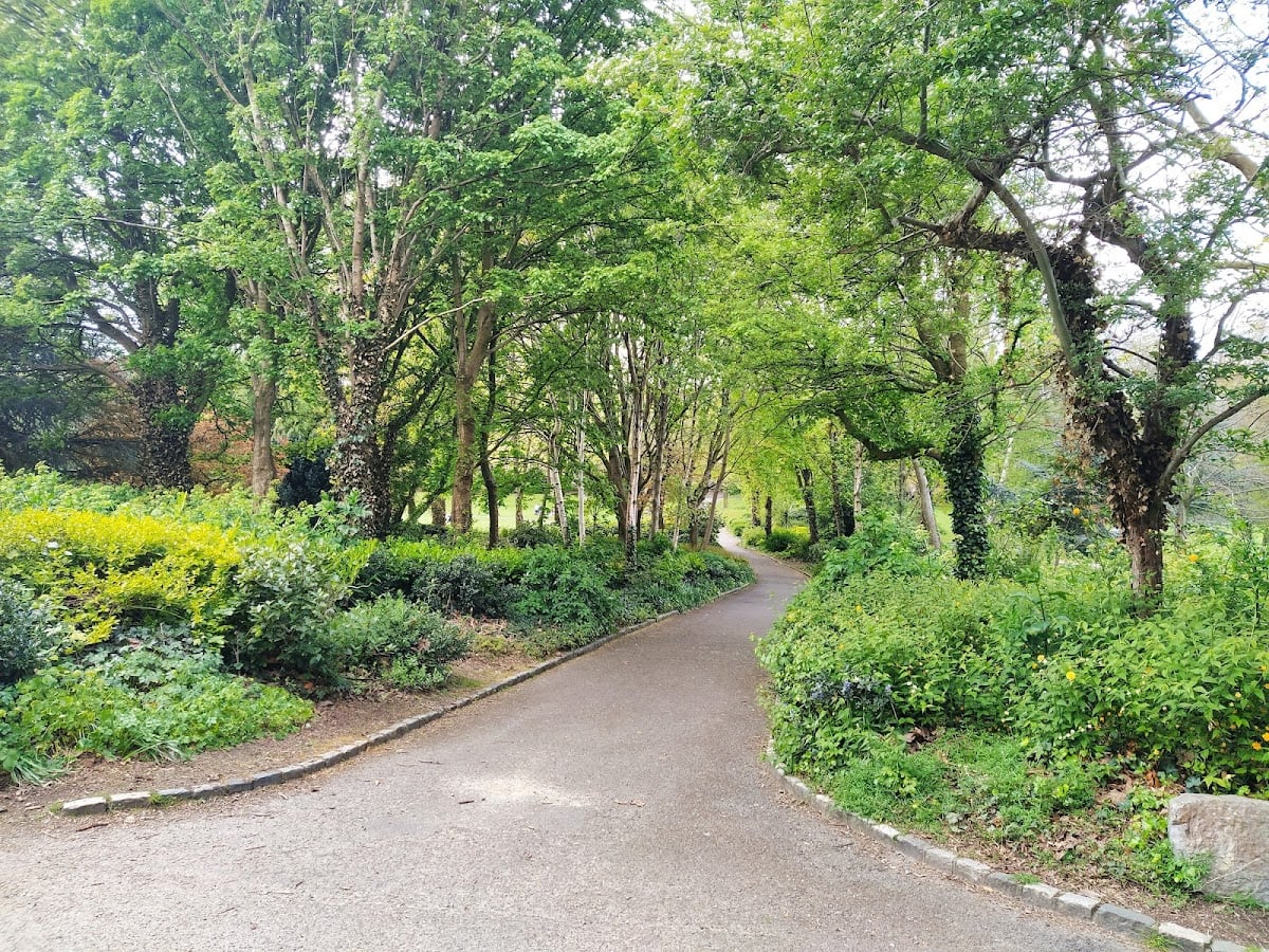 Merrion Square Park - Park & Gardens in Dublin