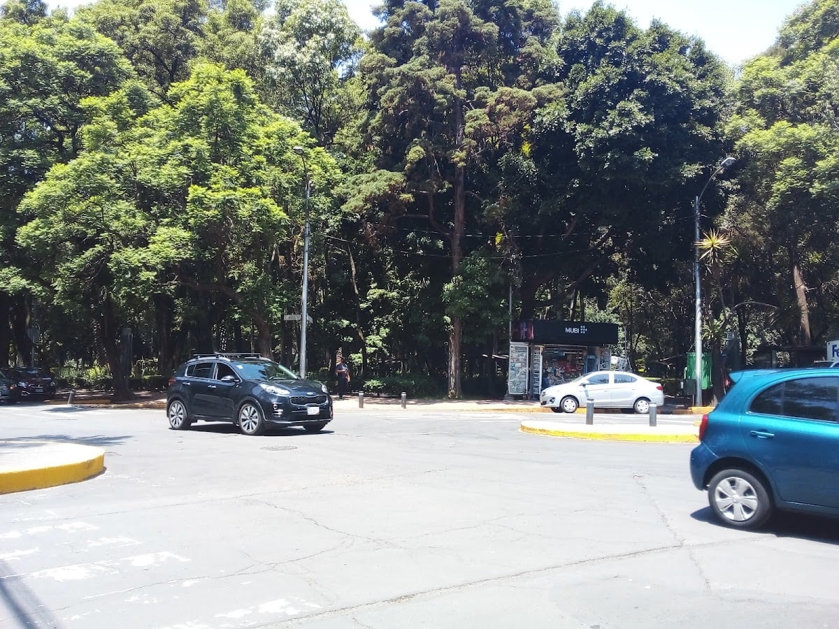 Parque México - Park & Outdoors in Mexico City