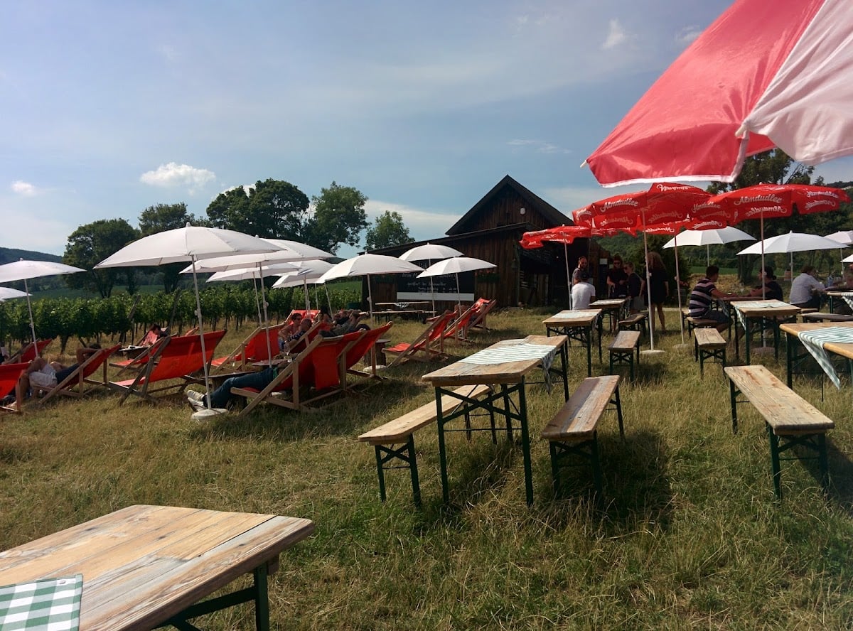 Mayer am Nussberg - Heuriger em Viena