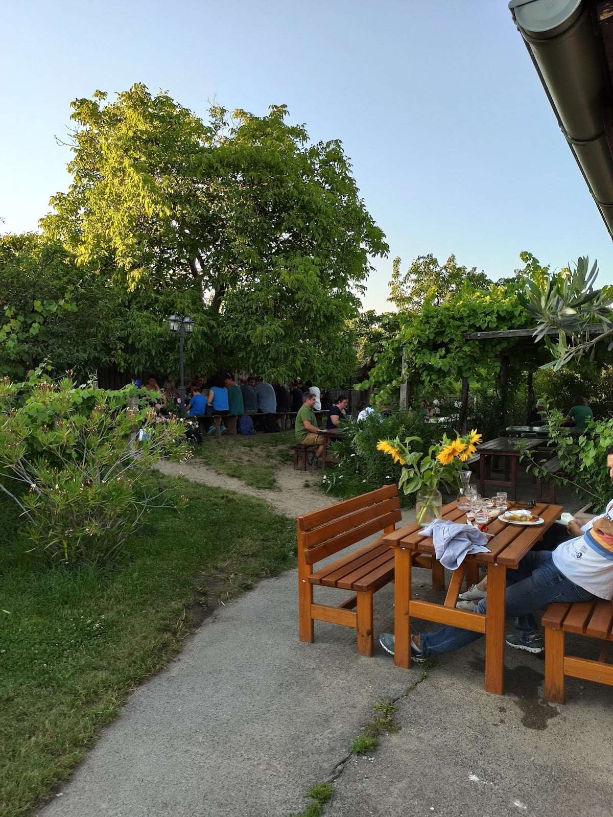 Weingut Zawodsky - Heuriger em Viena